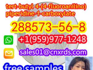 cas:288573-56-8 tert-butyl 4-(4-fluoroanilino)p