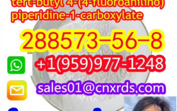 cas:288573-56-8 tert-butyl 4-(4-fluoroanilino)p