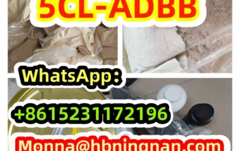 Etonitazepyne 2785346-75-8