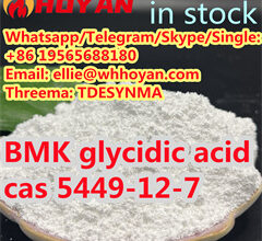 Supply cas 5449-12-7 BMK glycidic acid(powder)