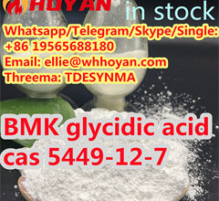 cas 5449-12-7 BMK glycidic acid(powder) for sale