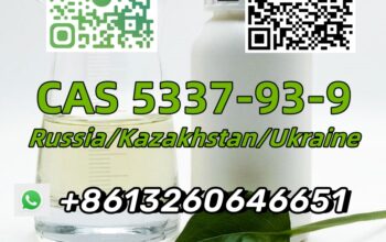 High purity yellow oil CAS 5337-93-9 C10H12O profe