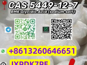 High purity BMK Powder CAS 5449-12-7 C10H11NaO3 pr