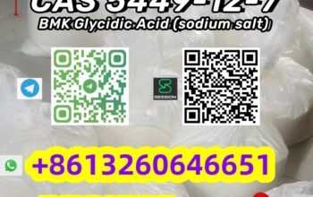 High purity BMK Powder CAS 5449-12-7 C10H11NaO3 pr