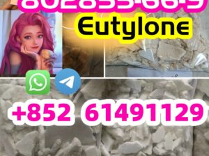 802855-66-9,17764-18-0,Eutylone,BK-EDBP,BK-EDBD,EU
