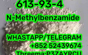 613-93-4 N-Methylbenzamide