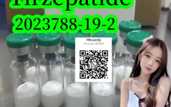 Germany transit 2023788-19-2 Tirzepatide