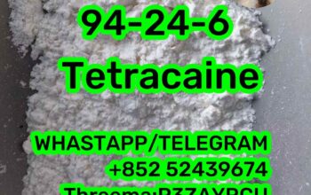 94-24-6 Tetracaine 94-24-6 Tetracaine