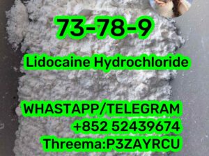 73-78-9 Lidocaine Hydrochloride