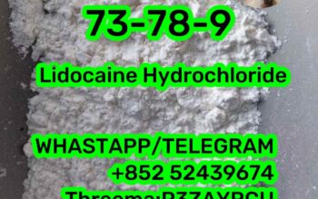 73-78-9 Lidocaine Hydrochloride