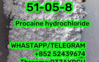 51-05-8 Procaine hydrochloride