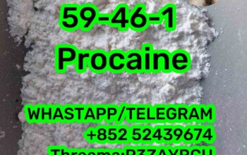 59-46-1 Procaine 59-46-1 Procaine