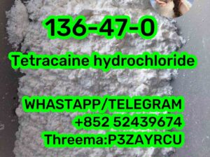 136-47-0 Tetracaine hydrochloride
