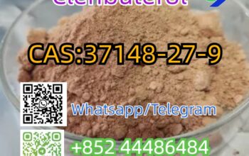 clenbuterol CAS 37148-27-9