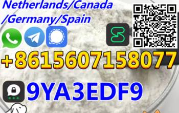 CAS 80532-66-7 Professional Supplier 99% Wholesale