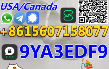 Best sale China High Purity CAS 71368-80-4