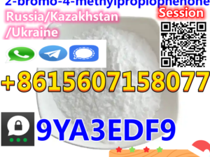 BK4 CAS 1451-82-7 Fast Delivery Best Price