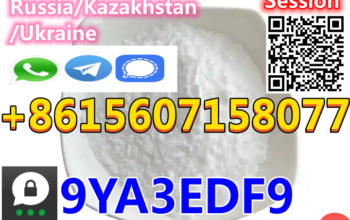 BK4 CAS 1451-82-7 Fast Delivery Best Price