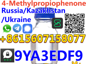 Russia/Kazakhstan Fast Delivery CAS 5337-93-9
