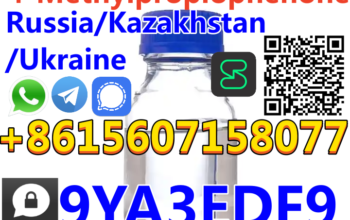 Russia/Kazakhstan Fast Delivery CAS 5337-93-9