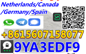 CAS 80532-66-7 Professional Supplier Wholesale