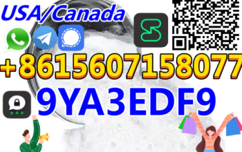 Best sale China High Purity CAS 71368-80-4