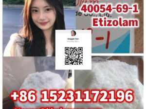Etizolam 40054-69-1