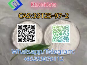 CAS:33125-97-2 Etomidate