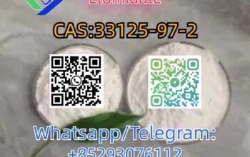 CAS:33125-97-2 Etomidate