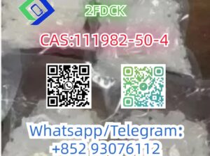 CAS:111982-50-4 2FDCK 2-Fluorodeschloroketamineo