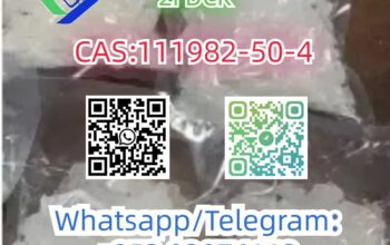 CAS:111982-50-4 2FDCK 2-Fluorodeschloroketamineo
