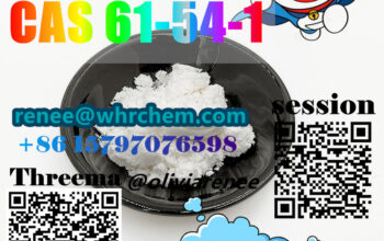 Tryptamine CAS 61-54-1+8618771102056