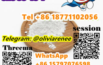 High Quality Procaine Powder CAS 59-46-1