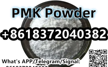 CAS 28578-16-7 PMK Ethyl Glycidate PMK Powder Liqu