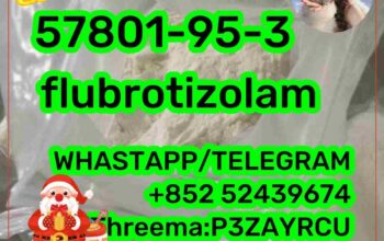 flubrotizolam 57801-95-3 99% quality