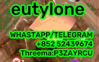 eutylone 3MMC 802855-66-9