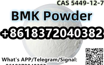 CAS 5449-12-7 BMK Glycidic Acid (sodium salt) BMK