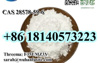 PMK ethyl glycidate CAS 28578-16-7 C13H14O5 With H