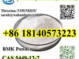 CAS 5449-12-7 BMK Glycidic Acid (sodium salt)