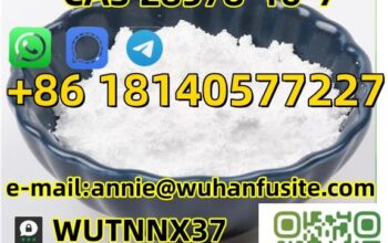 High Purity 99% PMK Ethyl Glycidate Powder CAS 285