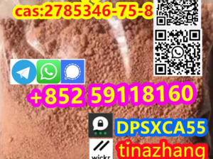 Hot selling Etonitazepyne 2785346-75-8 EP powder i