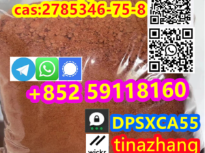 100% secure delivery the Etonitazepyne 2785346-75-