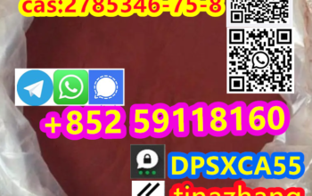 Cas:2785346 75 8, Etonitazepyne N-Pyrrolidino eton