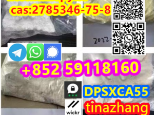 cas:2785346-75-8 Etonitazepyne +852 59118160 Resea