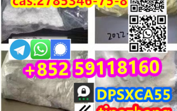 cas:2785346-75-8 Etonitazepyne +852 59118160 Resea