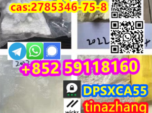 cas:2785346-75-8 Etonitazepyne powder factory outl