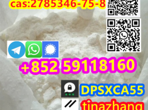 cas:2785346-75-8 Etonitazepyne powder Highest puri