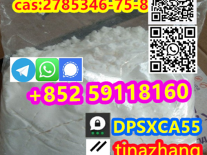 cas:2785346-75-8 Etonitazepyne for The best suppli