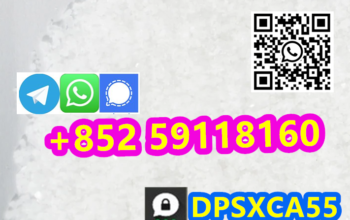 cas:40054-69-1 Etizolam Free Recipe by wap:+852 59