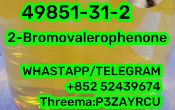 2-Bromovalerophenone 49851-31-2